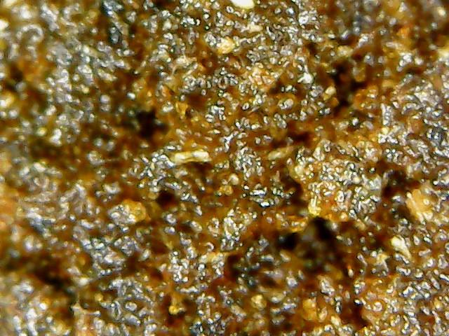 Divine: Moorish Morrocan Mountain Oily Pollen Eggs