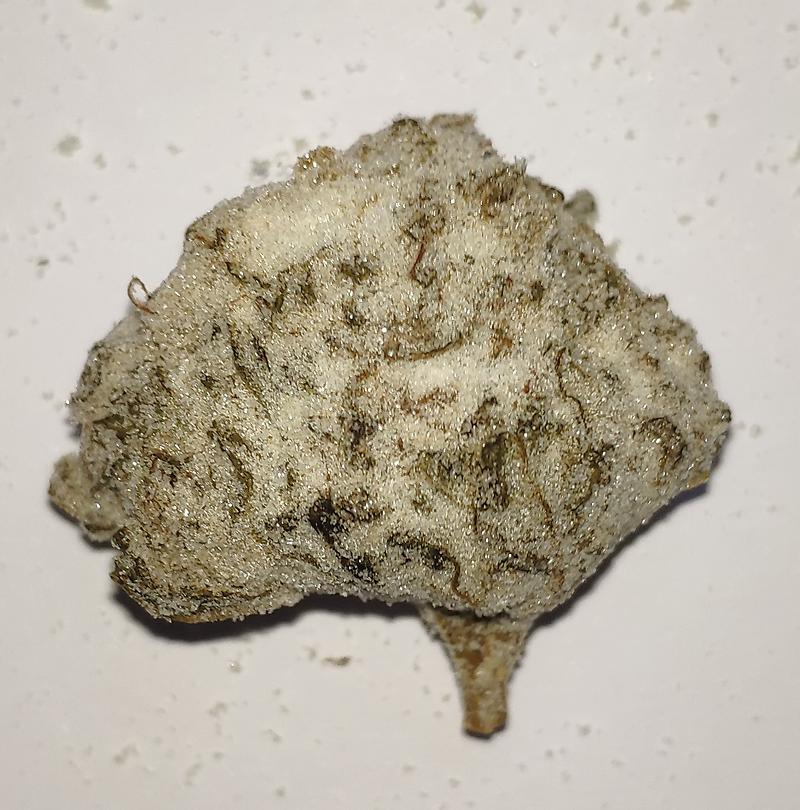 WHITE ICE ROCK– 52% CBD MOONROCK