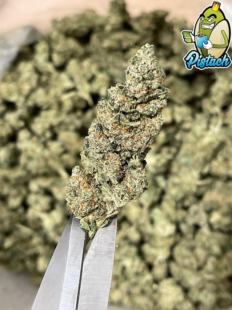 BLUE FUCKING FIRE ZUSHI