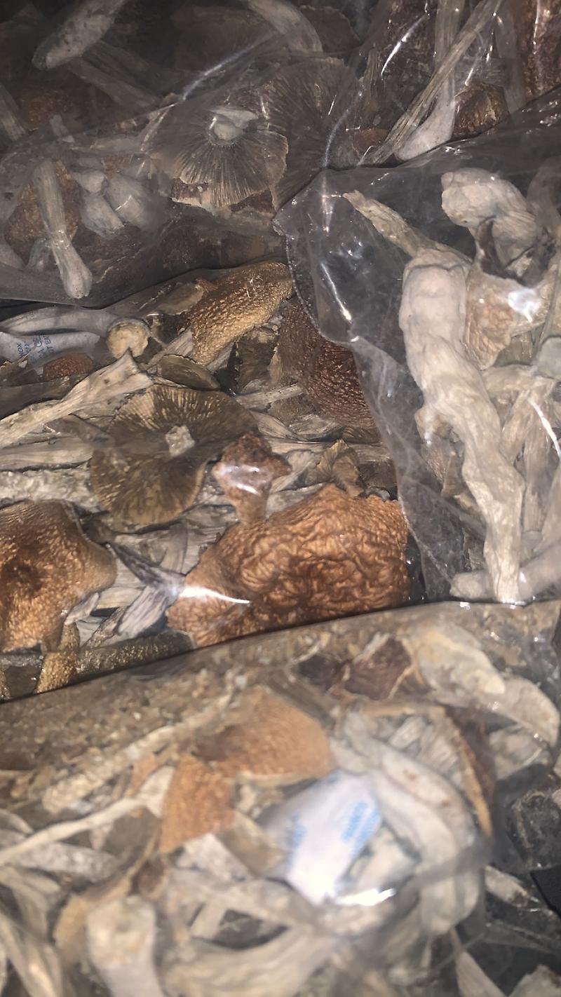 Mix and Match Shroom Selection