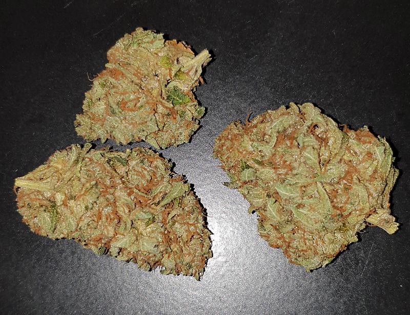**COOKIE DAWG - (FREE RM 1ST CLASS DISPATCH)**