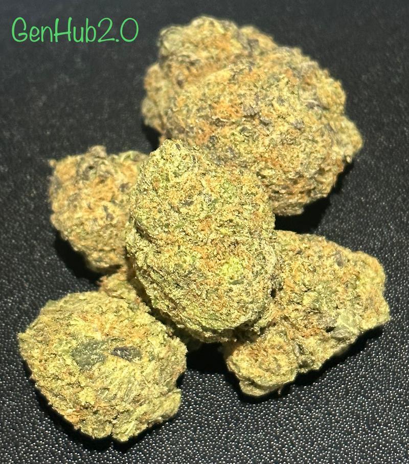 Grease Monkey Canadian Import