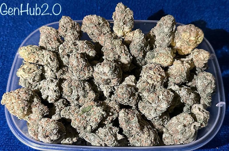 Gary Payton Canadian Import