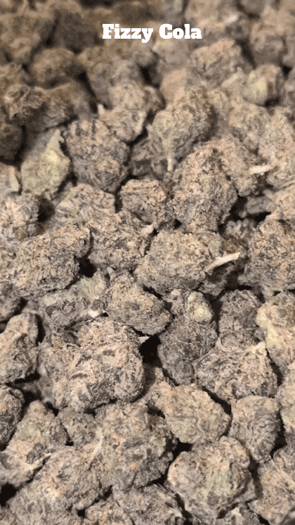 Top Shelf Exotics - Imported Loose Flower