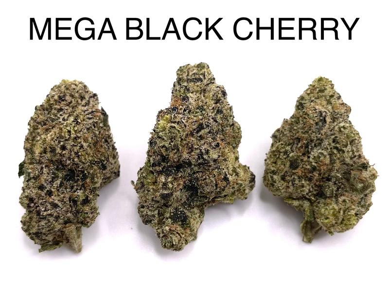 MEGA BLACK CHERRY