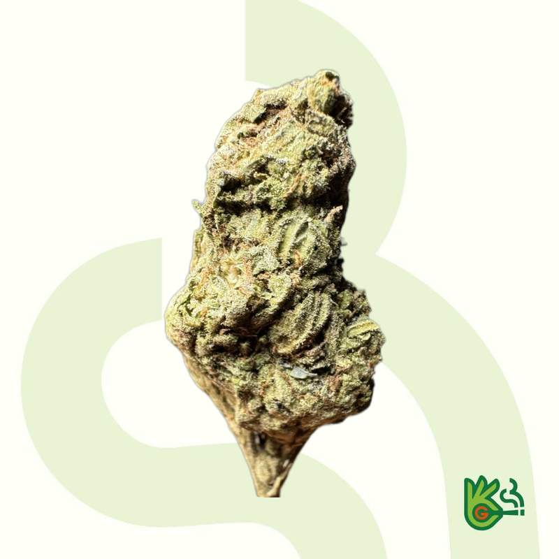 Jealousy *Free Shipping*