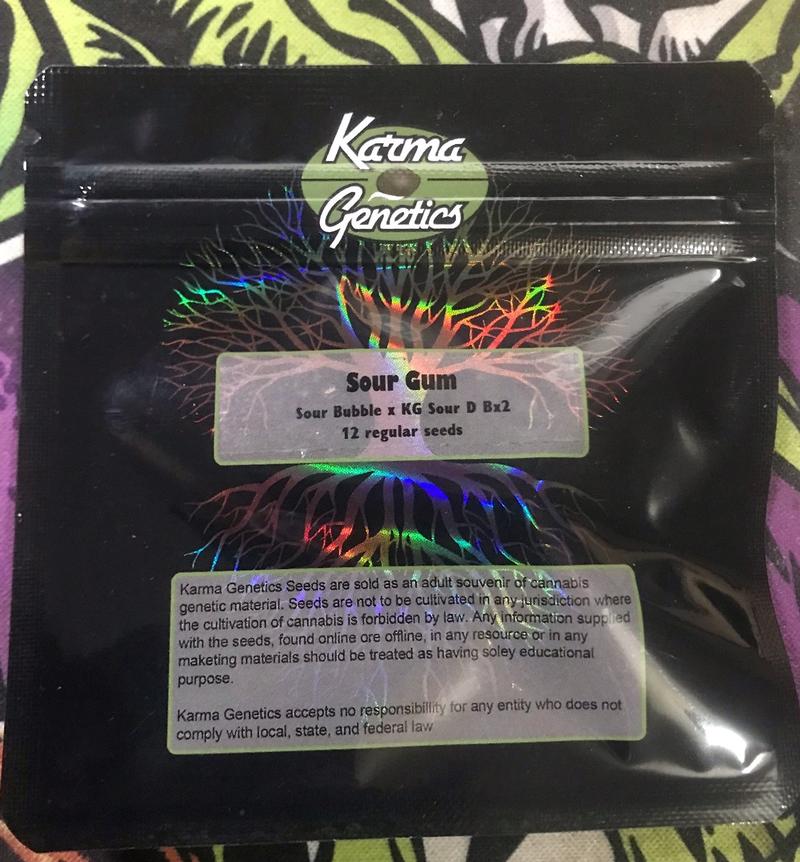 Karma Genetics