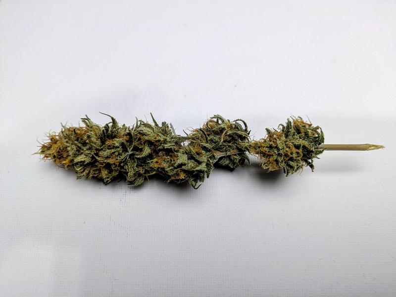 Organic Easy Sativa