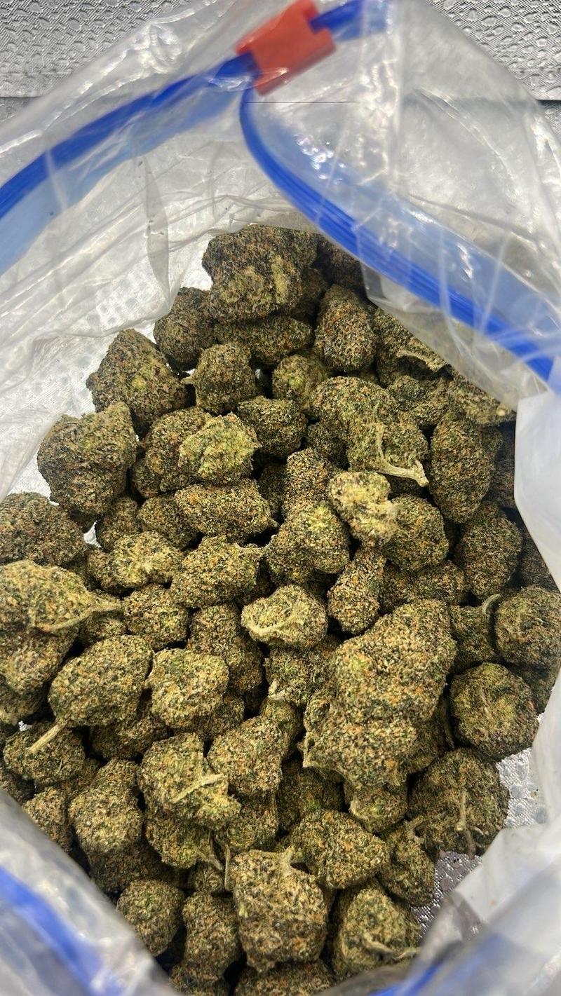🍒 CALI LOOSE EXOTICS | Black Cherry Gobstopper 🍒