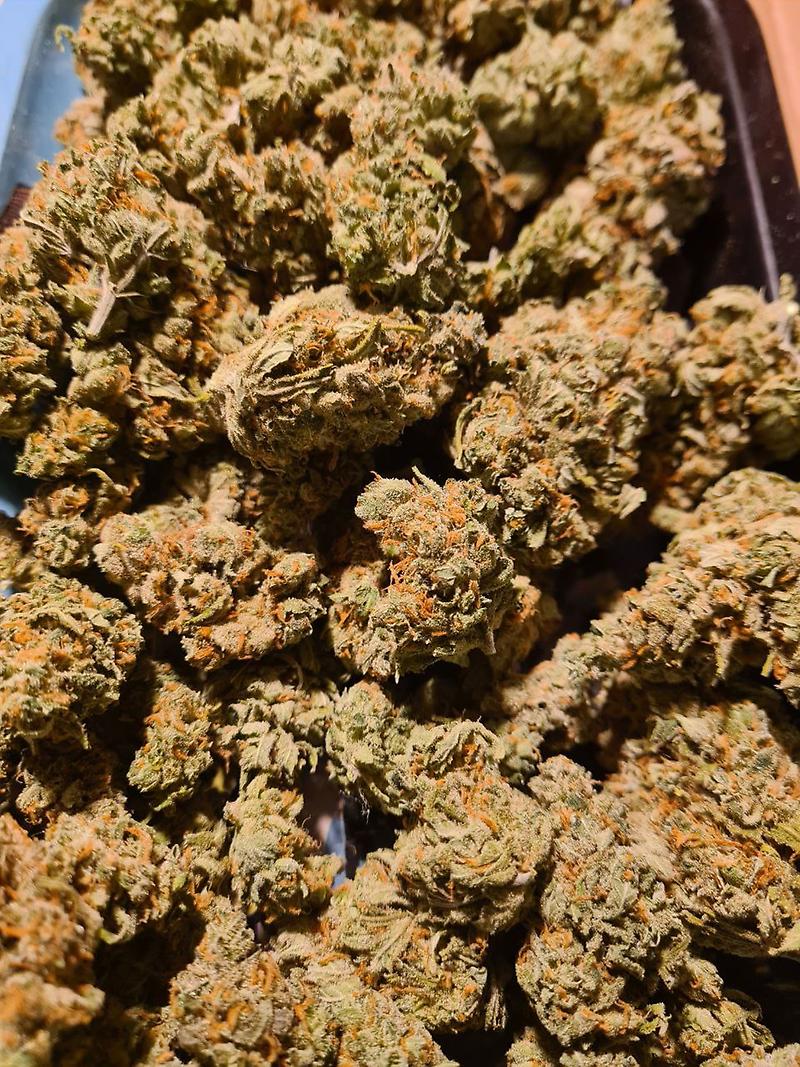 Super Lemon Haze Oz's