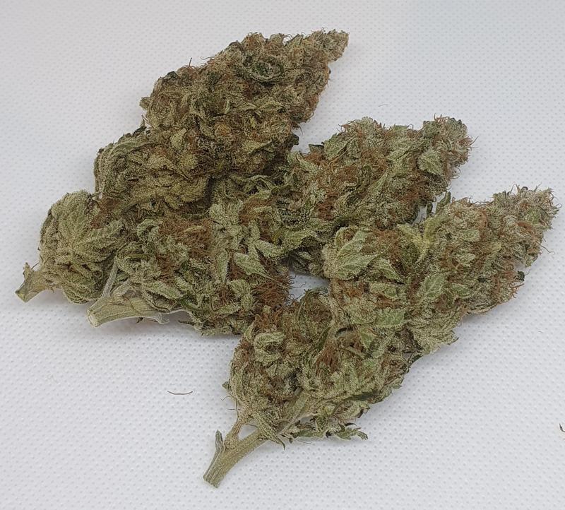 Wild Berry Punch, coco grown with organic amendments.