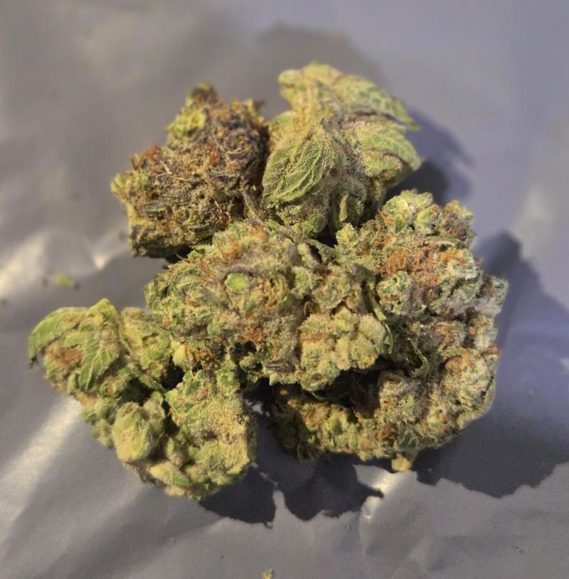 Mimosa Oz's