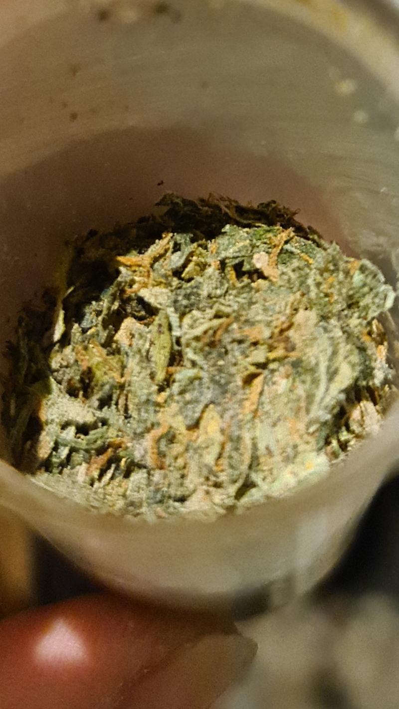 Thai Sensimilla Weed