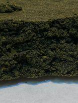 Cookie Dawg Decarb Hash