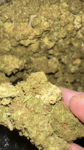 Budget 🇺🇸 [Cheap]