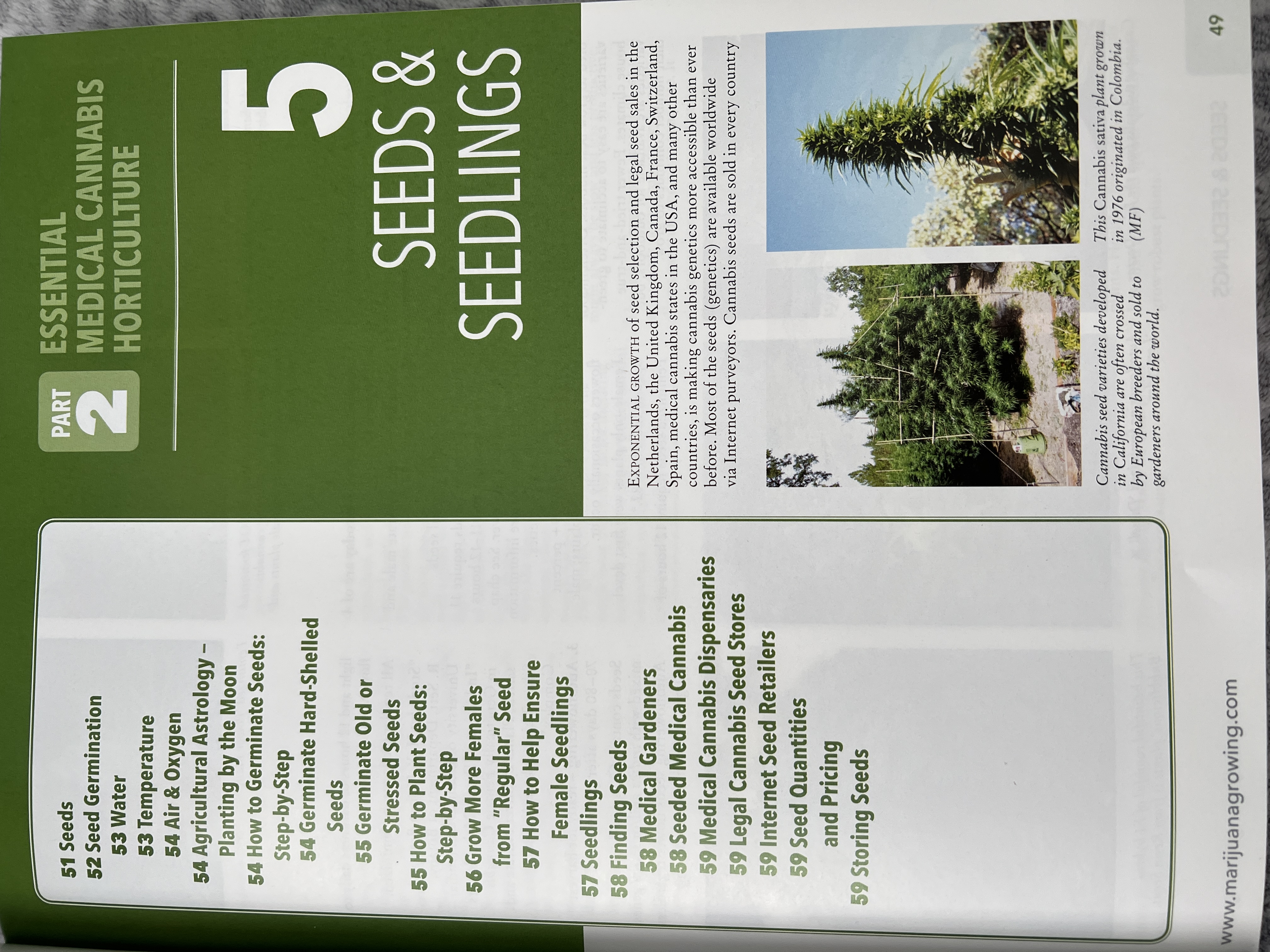 The Cannabis Encyclopaedia by J.C