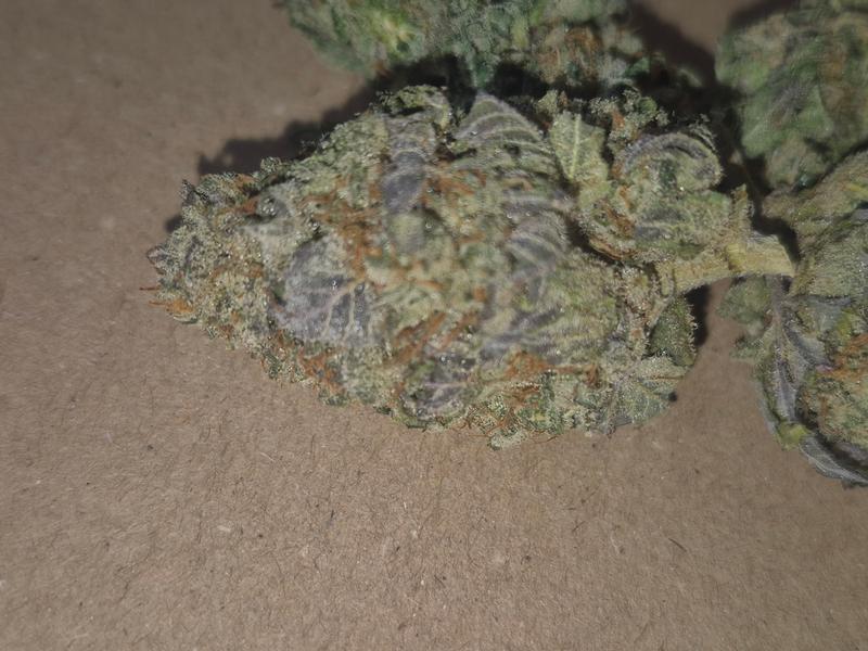 Cap Junky uk top flower