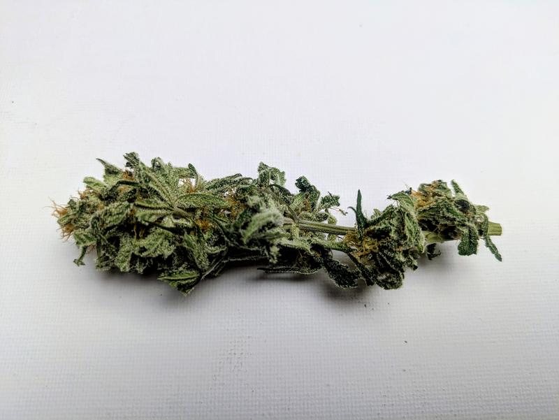 Organic Painkiller CBD