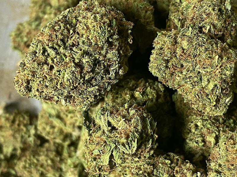 Guava Gelato - Amazing Guava Terps! Doc recommends