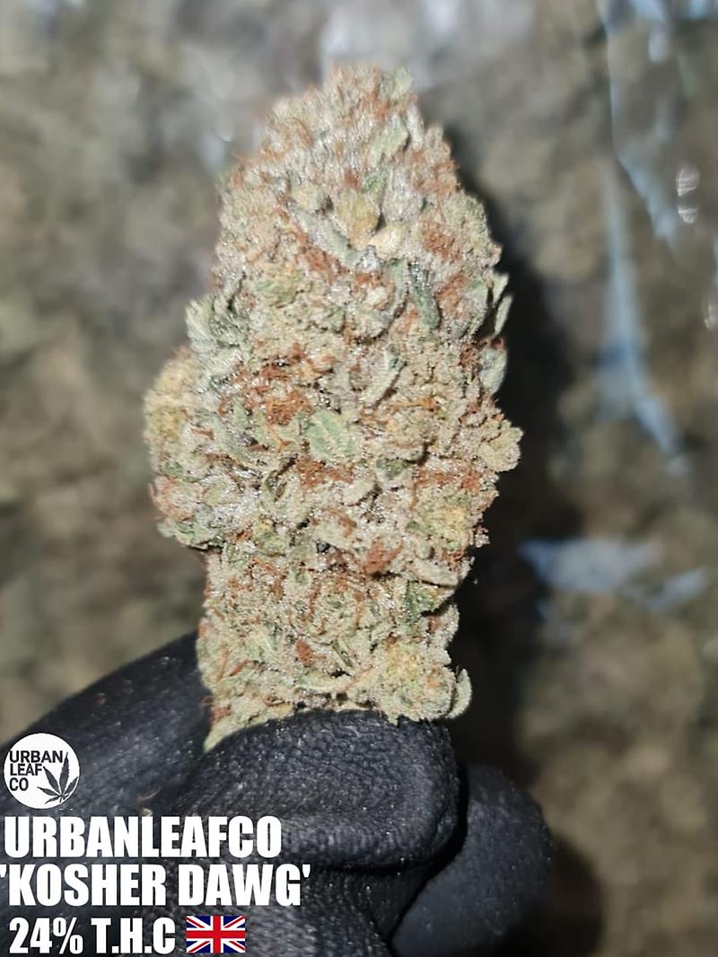 BARRY BONDS - UK - FREE RM 1ST CLASS SHIPPING