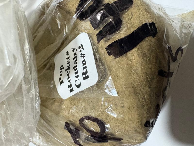 Jungle Boys Bubble Hash IS Back