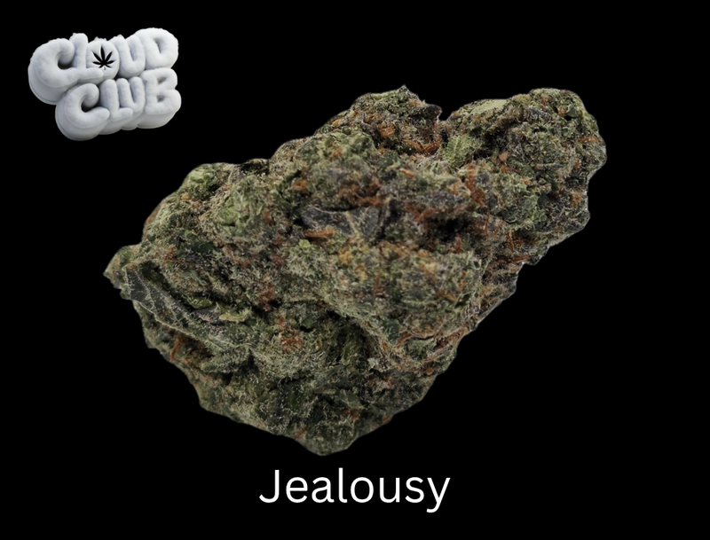 Jealousy