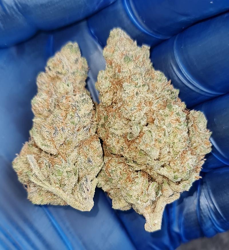STRAWBERRIES & CREAM - 60/40 SATIVA - FREE TRACKED 24