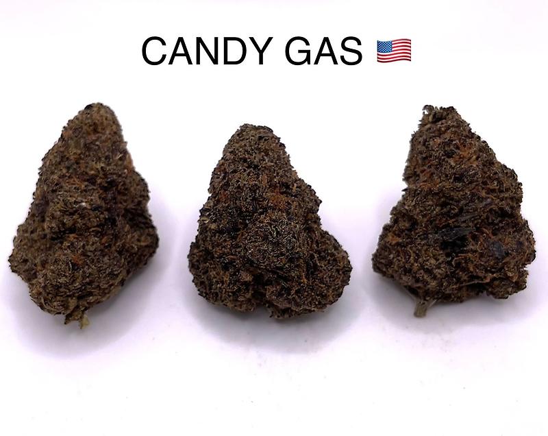 BACIO GELATO X RUNTZ [CANDY GAS]