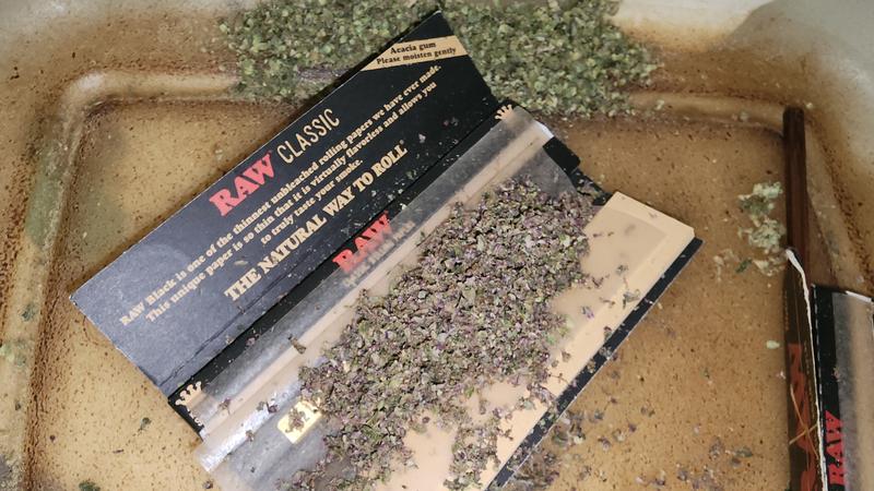 UK GROWN FLOWER