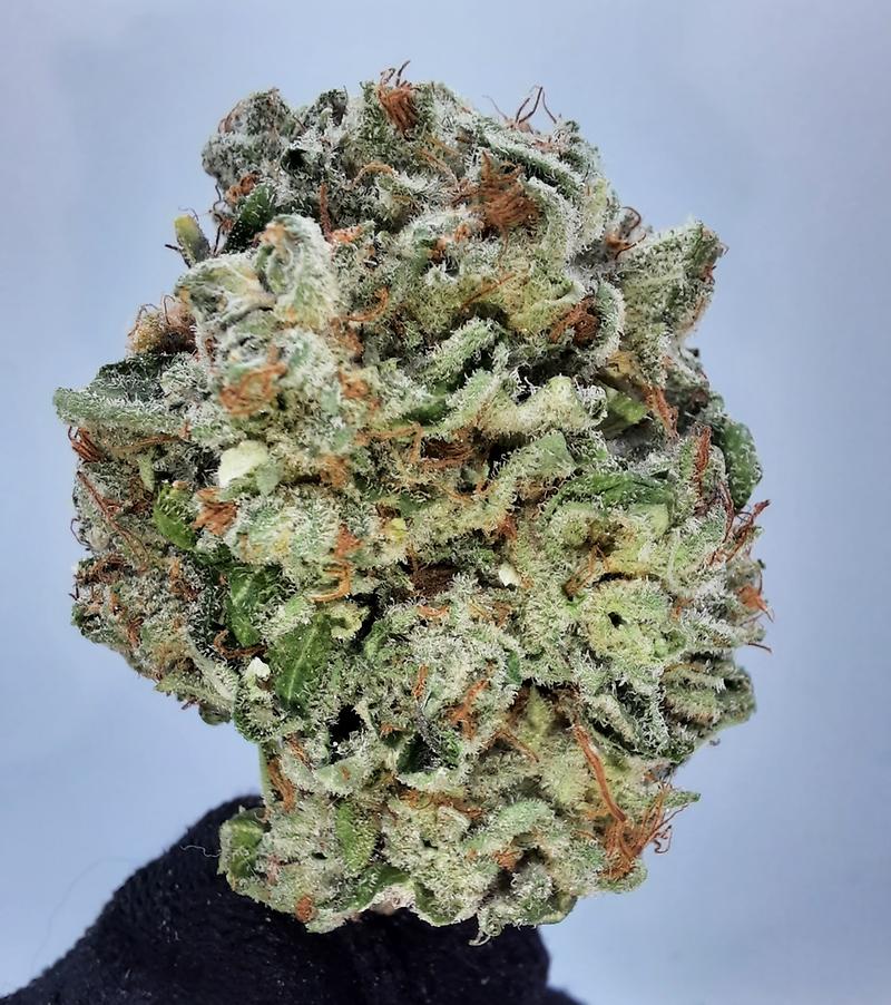 **PINK COOKIES - (FREE RM 1ST CLASS DISPATCH)**