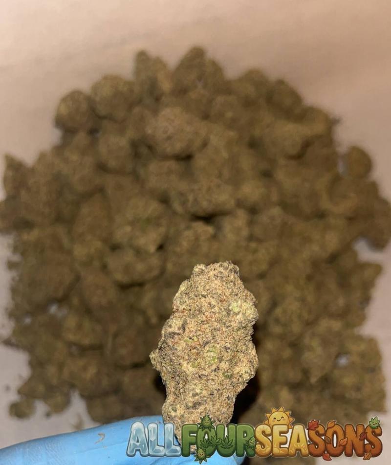 Cali 🇺🇸 (Exotics)