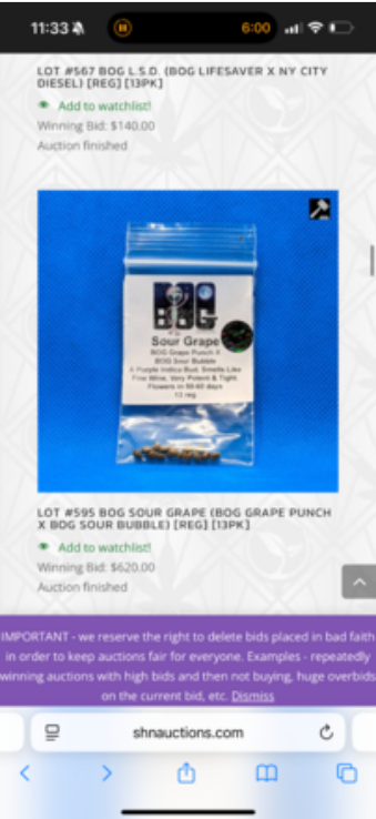BOG Seeds / Bushy Old Grower
