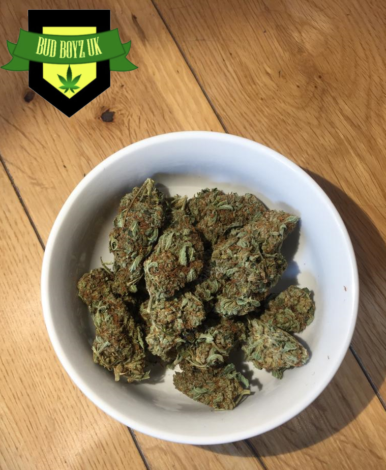 STARDAWG UK