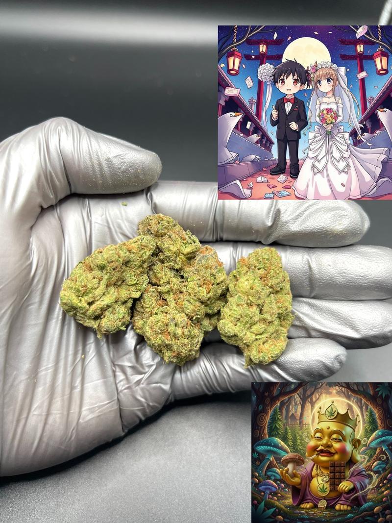 DAILY DOSE