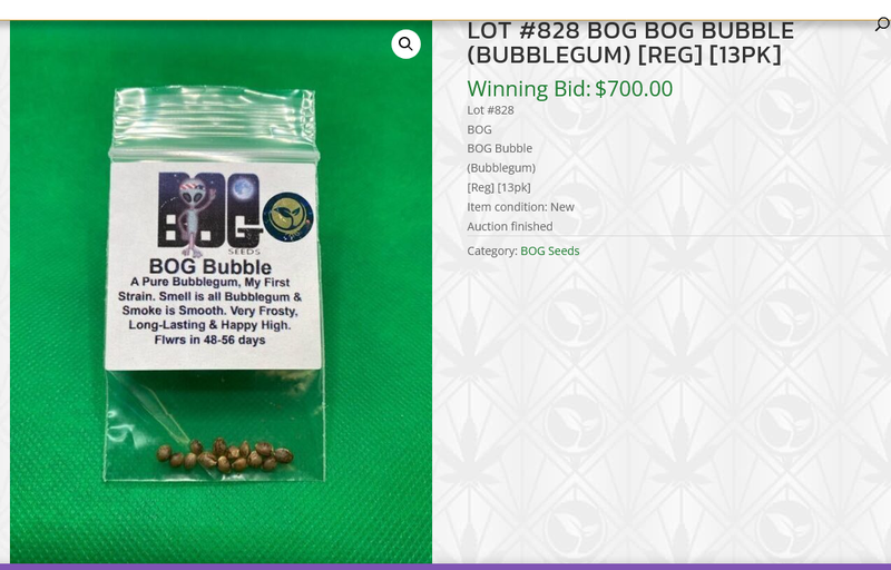 BOG Seeds / Bushy Old Grower