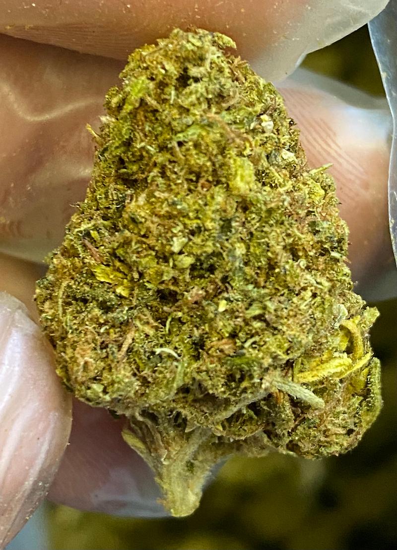 Jack Herer Cheap Medicinal Medium THC Bud