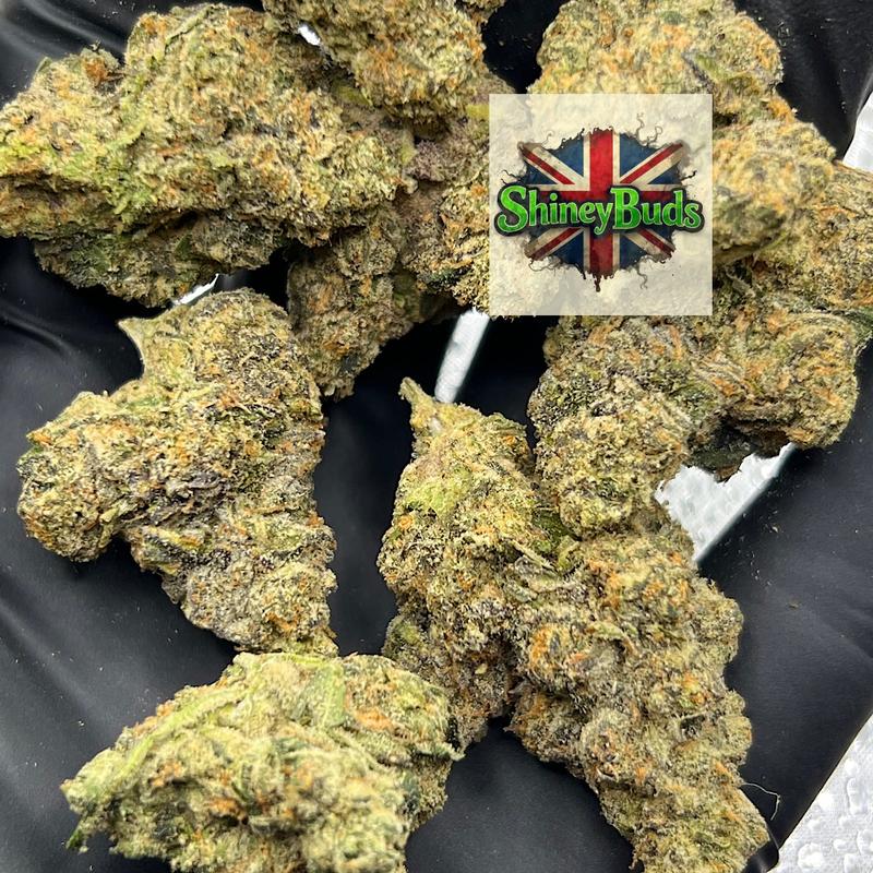 🇺🇸 Area 41 CONNECTED CANNABIS