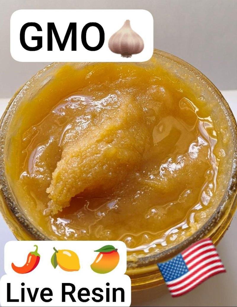 GMO - USA live Resin