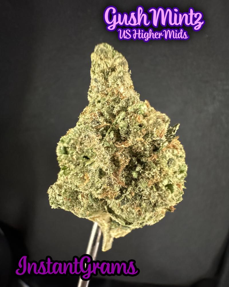 [IMPORT] 🇺🇸 Higher Mids