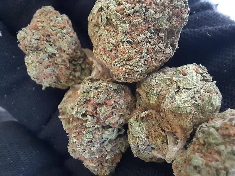 DOUBLE CROSS - INDICA DOMINANT