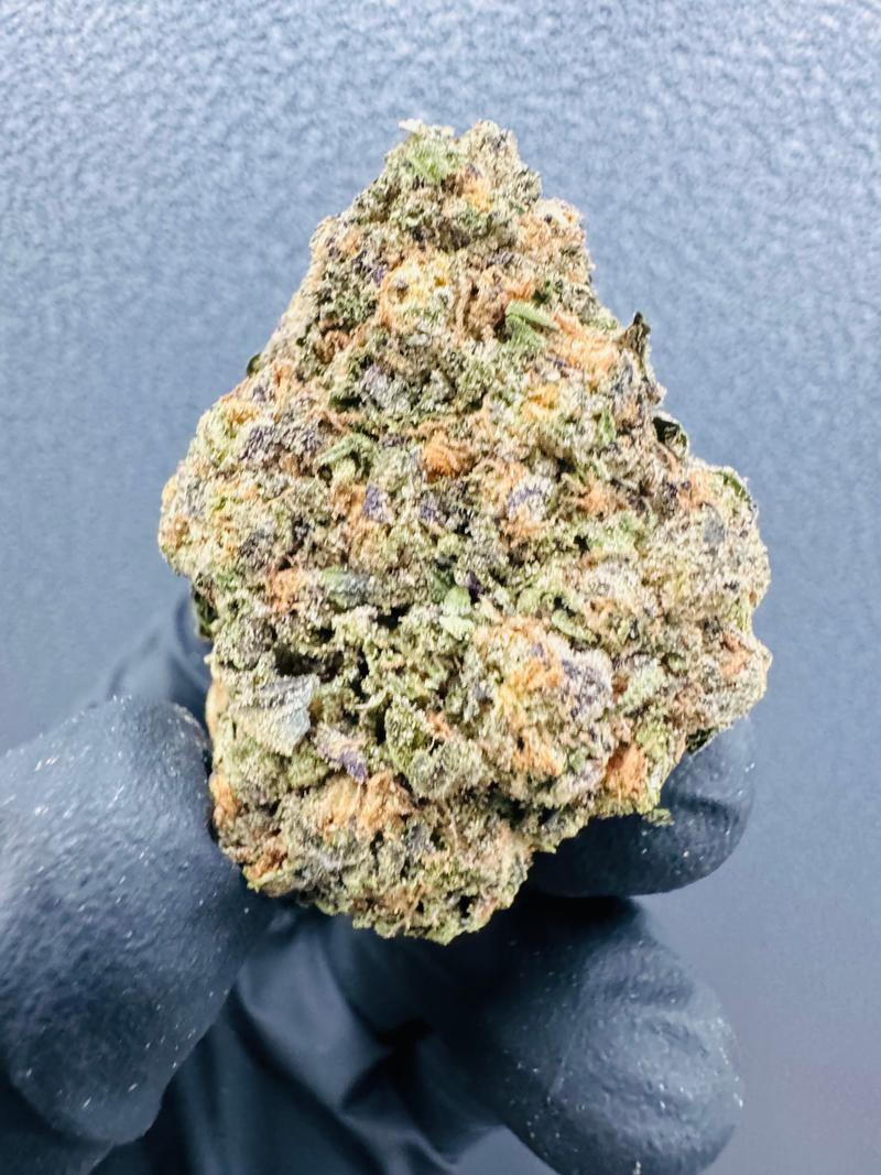 Exclusive Sherbanger