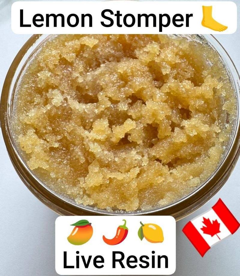 Canada BHO