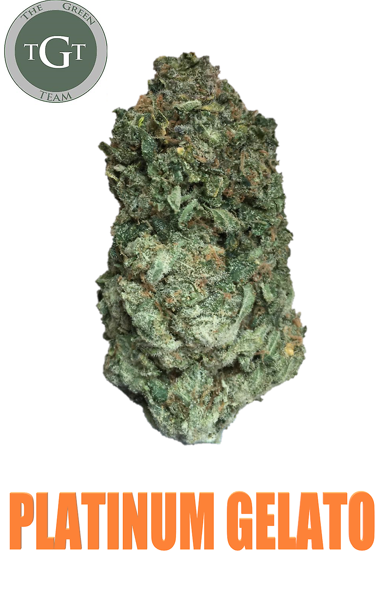PLATINUM GELATO *EXCLUSIVE*