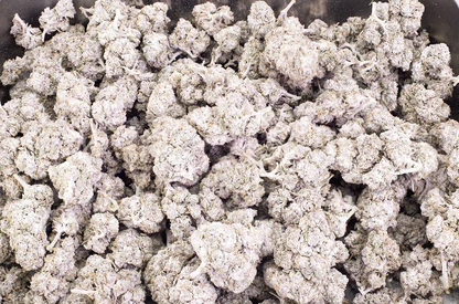 Snow Caps