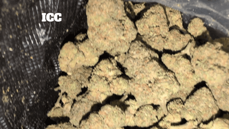 Cali Mids - Loose Import 🇺🇸