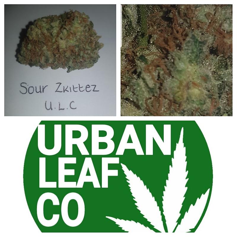 **SOUR ZKITTLEZ - (FREE RM 1ST CLASS DISPATCH)**
