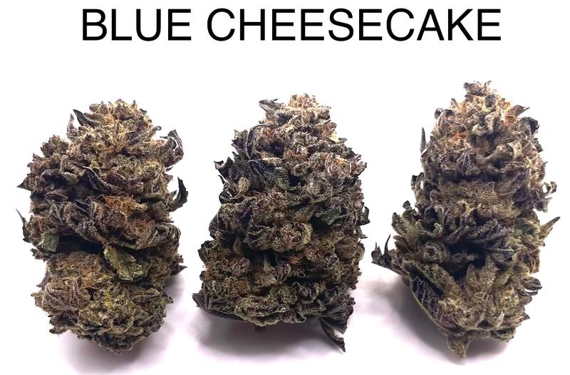 BLUE CHEESECAKE