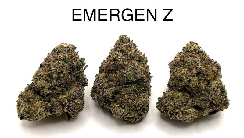 EMERGENC Z