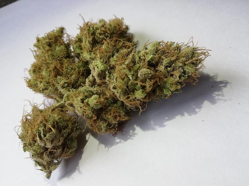 Super Silver Haze aka Amnesia Haze