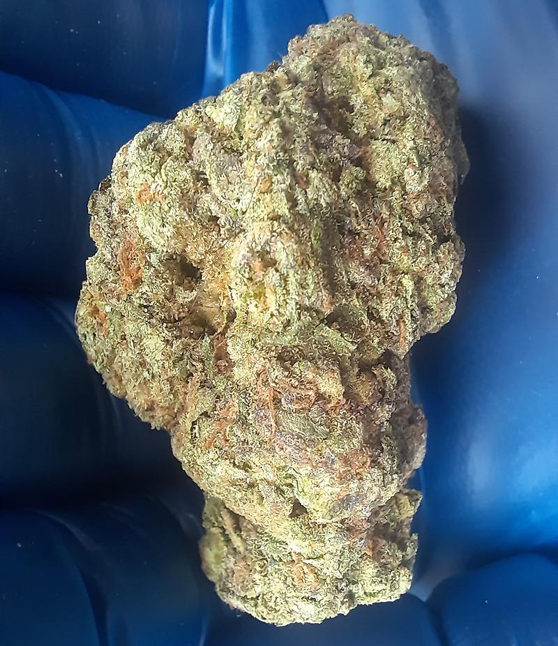 WHITE RUNTZ - 50/50 HYBRID - FREE TRACKED 24 SHIPPING